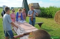 Zdjęcie: Powitanie lata 2013