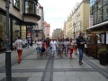 Zdjęcie: Coolturalne wyjazdy dla dzieci i młodzieży w Gminie Niechlów