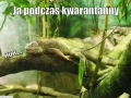 Zdjęcie: # zostań w domu