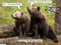 Zdjęcie: # zostań w domu