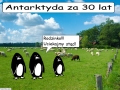 Zdjęcie: # zostań w domu