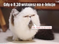 Zdjęcie: # zostań w domu