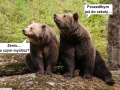 Zdjęcie: # zostań w domu