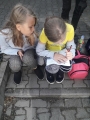 Zdjęcie: Nauka w praktyce …