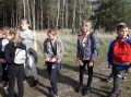 Zdjęcie: Grzybobranie