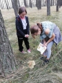 Zdjęcie: Grzybobranie